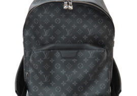 ルイヴィトン アポロ バックパック M43186 モノグラム・エクリプス