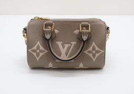 ルイヴィトン ナノスピーディ モノグラムアンプラント M82890