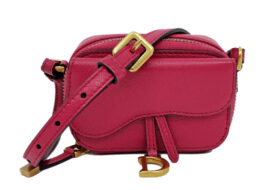 ディオール サドルミニ ショルダーバッグ レッド 赤 ゴールド金具