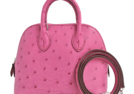 エルメス ボリード1923 ミニ オーストリッチ フューシャピンク シルバー金具 U刻印 2022年製造