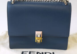 フェンディ FENDI ミニ キャナイ チェーン ショルダーバッグ 8M0381