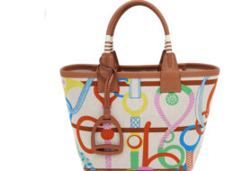 エルメス スティープル 25 CLIC CLAC PANOPLIE EQUESTRE B刻 トワルミリタリー スイフト トートバッグ