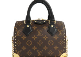 ルイヴィトン スピーディ・トランク20 M13146 モノグラム ハンドバッグ