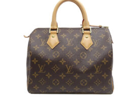 ルイヴィトン LOUIS VUITTON モノグラム スピーディ25 ハンドバッグ M41109