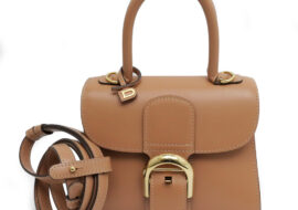 デルヴォー ブリヨン ミニ AA0406AAM024FDO テンダーベージュ